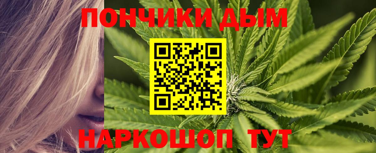 Шишки марихуана гибрид Берёзовский